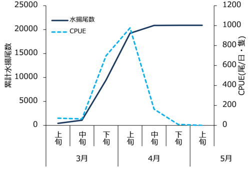 図1　2024年のハマトビウオ累計水揚尾数とCPUEの推移.png