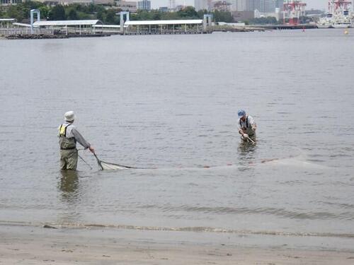 R070614曳網.jpg