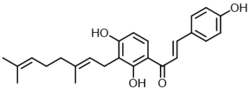 キサントアンゲロール.png